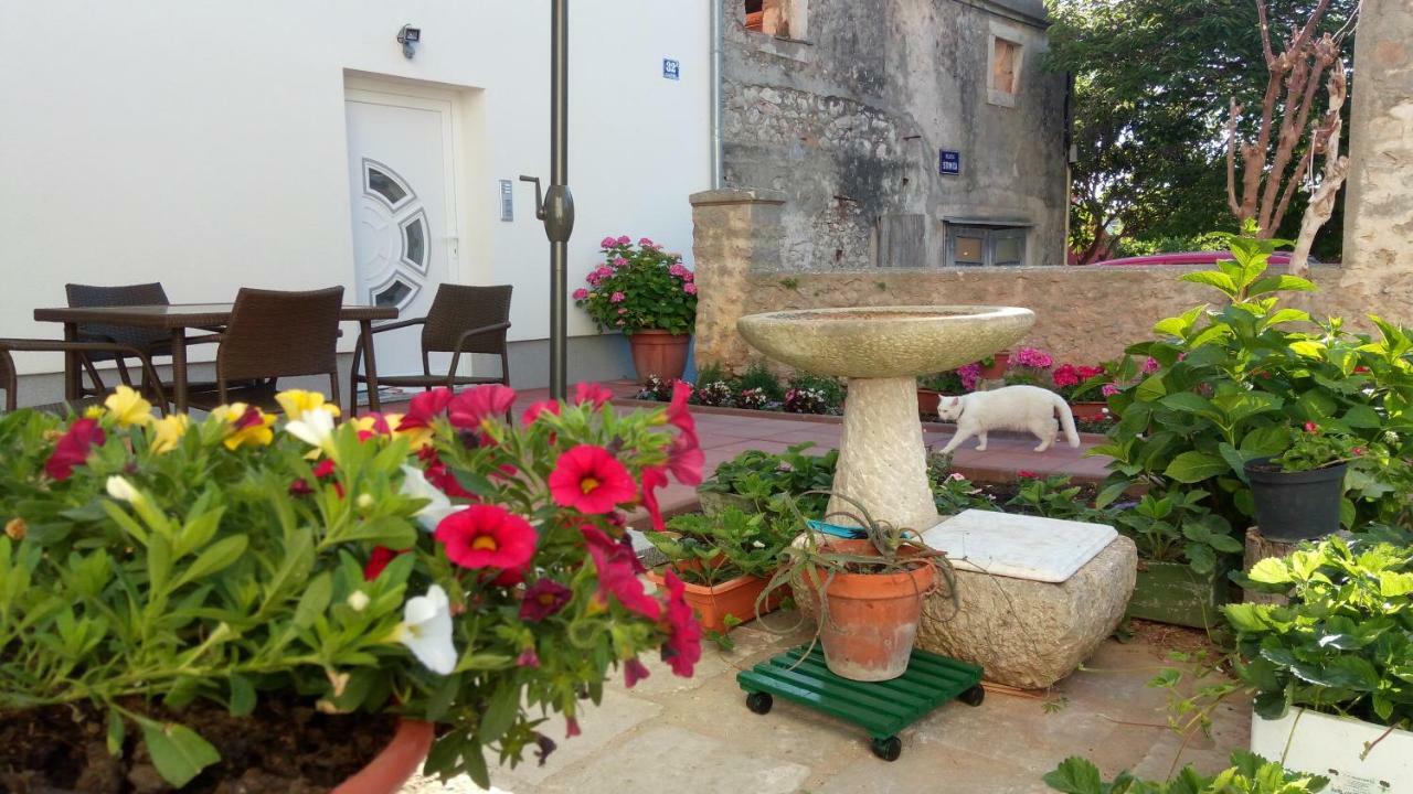 Apartmani Filip Zadar Diklo Extérieur photo