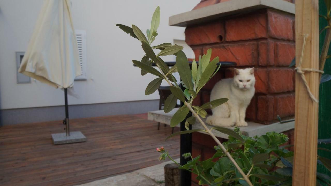 Apartmani Filip Zadar Diklo Extérieur photo